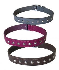 1" Studded Leather Collars