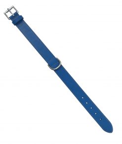 1.25" Wide Leather Collar