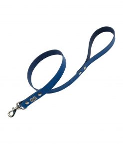 Bull Terrier Leather Lead