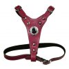 Deluxe Leather Bull Terrier Harness