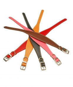 Padded Leather Hound Collars