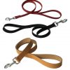 Leather Leads