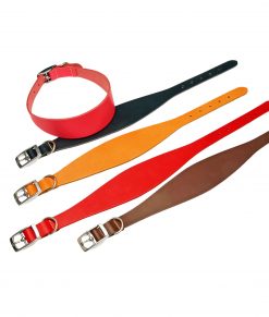 Basic Leather Hound Collars
