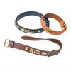 Bull Terrier Collars