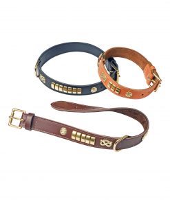 Bull Terrier Collars