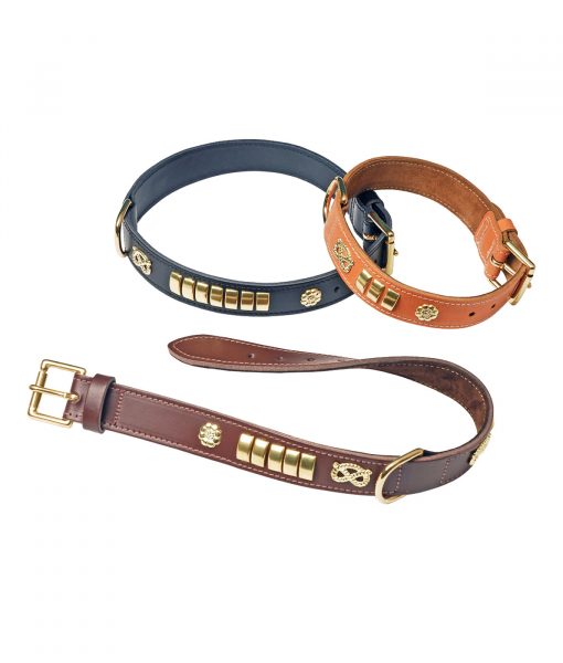 Bull Terrier Collars