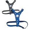 Bull Terrier Leather Harness