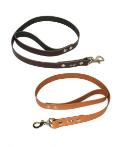 Studded Leather Leads