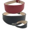 Hound Slip Collars
