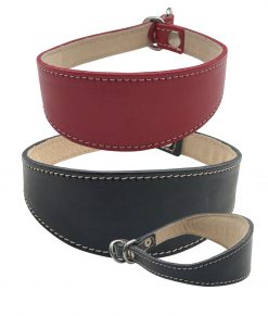 Hound Slip Collars