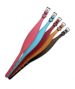 Italian Greyhound Collars