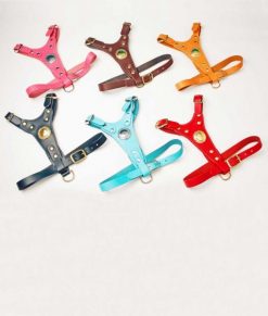 Dog Harnesses