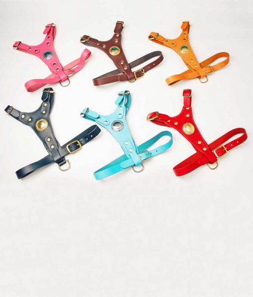 Dog Harnesses
