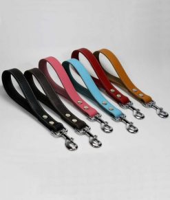 Leather Dog Leads