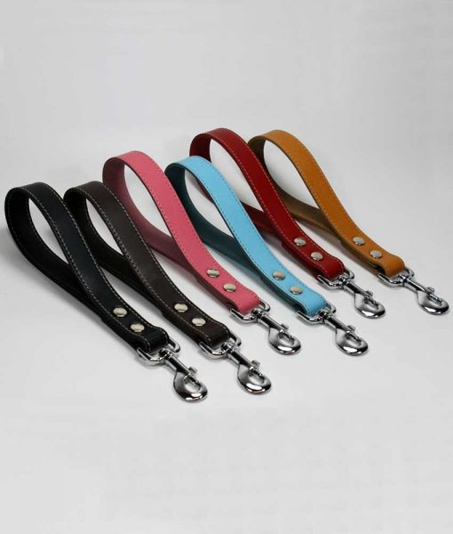 Leather Dog Leads